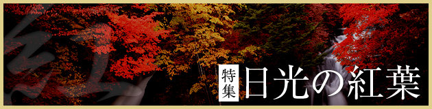 ���W�@�����̍g�t