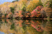 �����m��E���m�΁E���ꂪ�g�t�������}���Ă��܂��B