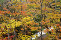 �������̍g�t�ʐ^