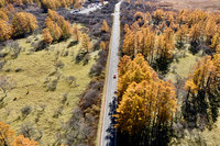 �������̍g�t������A�b�v���܂����I