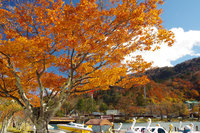 ������ ���T���ΔȂ̍g�t�͍��������ł��I�����߂ɂǂ����B