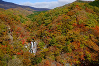 ���~�̑�Ŕ������g�t���������}���Ă���܂��I