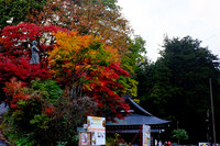 ���E��Y�����̎Ў��̍g�t�������ɂȂ�܂����I