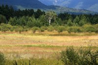 今週のおすすめスポット