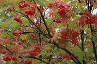 今週のおすすめスポット