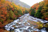 今週のおすすめスポット