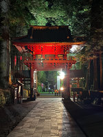 「ライトアップNIKKO 2025」開催