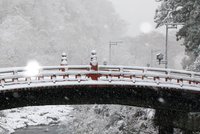 ���T�̂������߃X�|�b�g