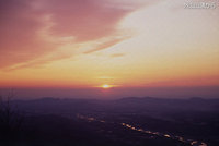 �����̂������X�|�b�g�̂��Љ�