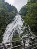 �������߂�Ȃ�A���Љ�������